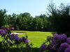 Flanders Nippon Golfbaan Belgie Vlaanderen Green Rhododendron.JPG