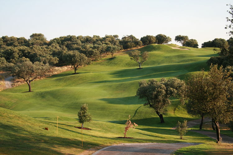Real Sociedad Hipica Espanola Golf Spanje Madrid Hoogte