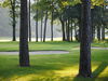 Golf Du Bercuit Golfbaan Belgie Brussel Bomen.JPG