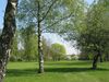 Munster Wilkinghege Golfbaan Duitsland Grensstreek Bomen